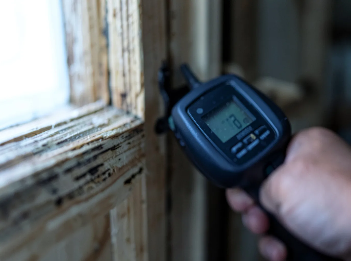 Water Damage Restoration Rising Sun, MD FAQs